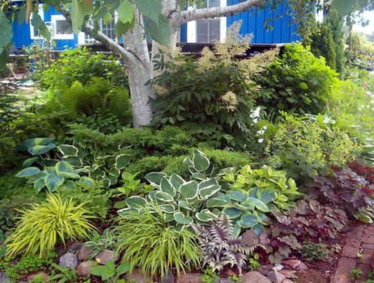 Eurogarden - okrasni vrt