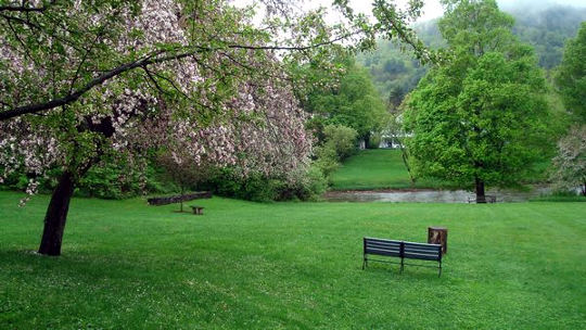 Eurogarden - trava