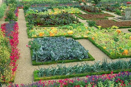 Eurogarden zelenjavni vrt