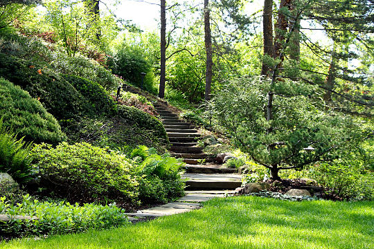 Stopnice na vrtu