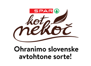 Kot nekoč