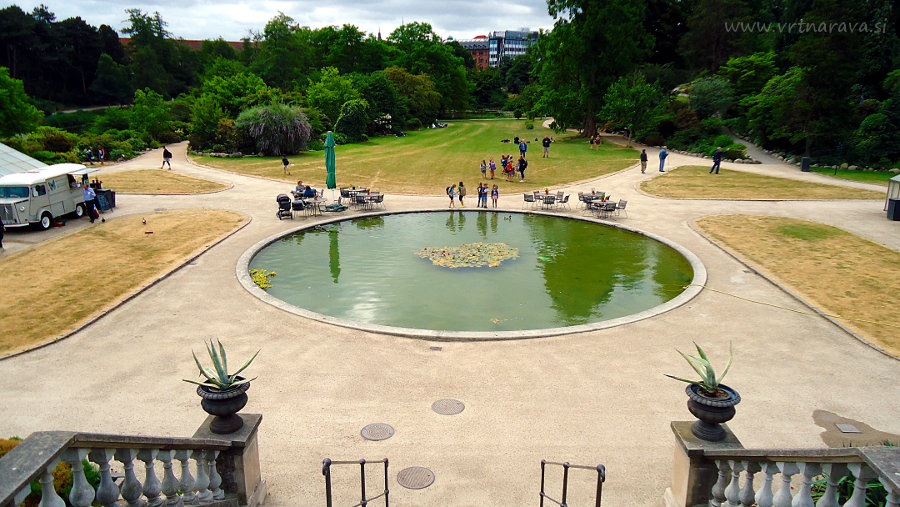 Botanični vrt Kopenhagen